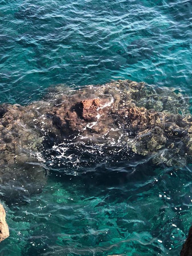 Le Tre Meraviglie A 200 M Dal Mare Catánia Buitenkant foto